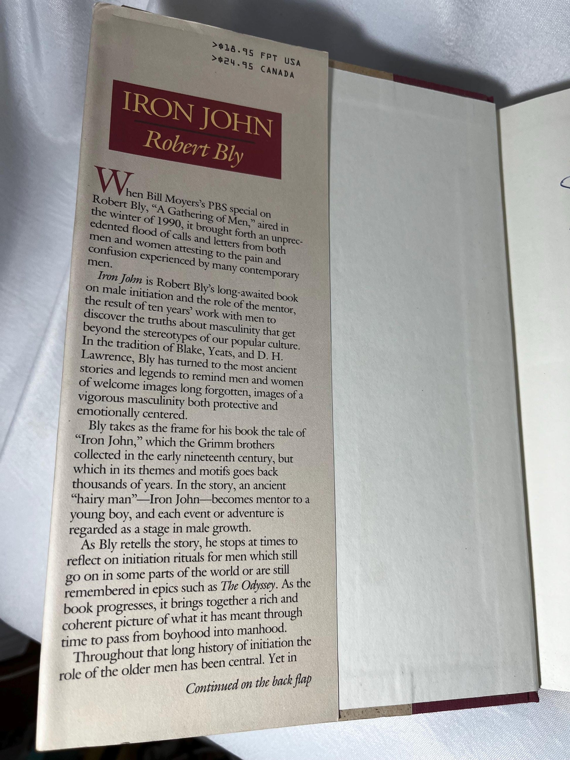 John Bly "Iron John: A Book About Men" Literary Analysis Hardcover First Edition