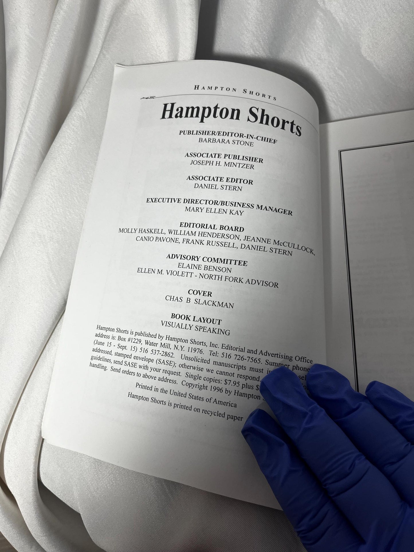 Hampton Shorts: Short Fiction Collection by Heller, Friedman, Schulberg - 1996 Paperback, Hamptons Stories, Long Island Tales