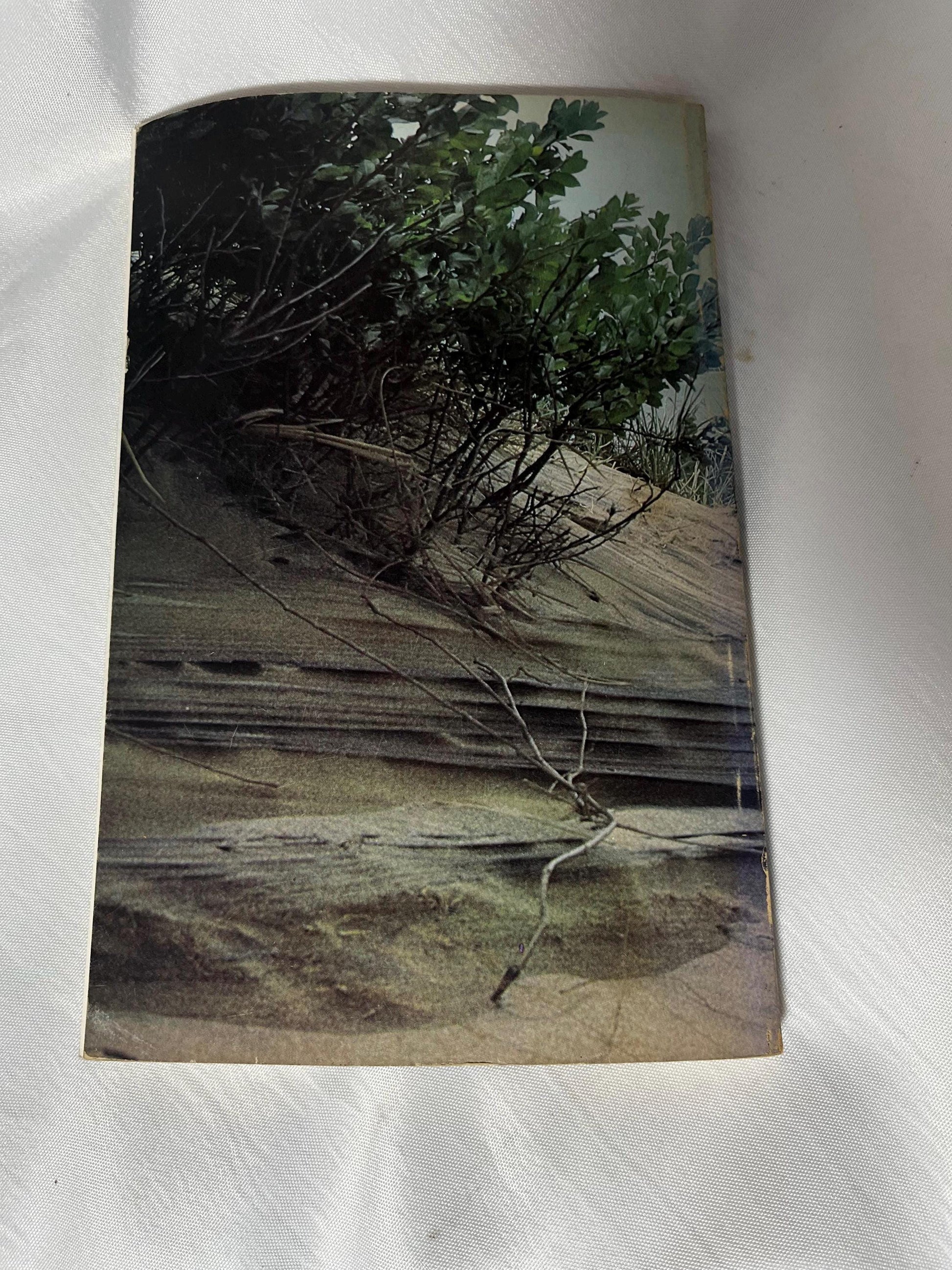 Vintage Montauk Book 1983 Paperback, East End Long Island Photography, Albert R. Holden