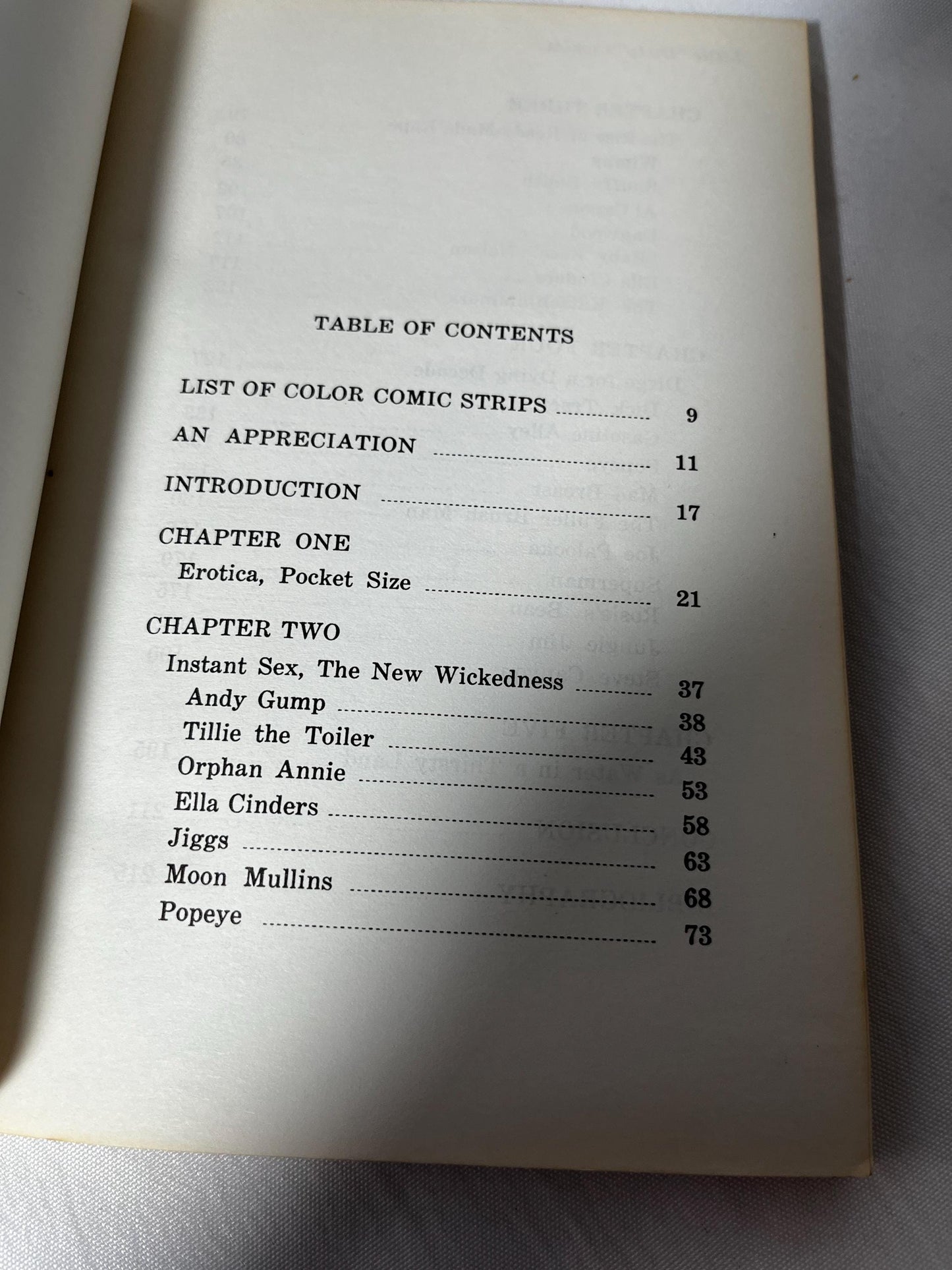 Vintage 'Little Dirty Comics' Editorial Commentary 1971 Paperback, Campy Comics Appreciation