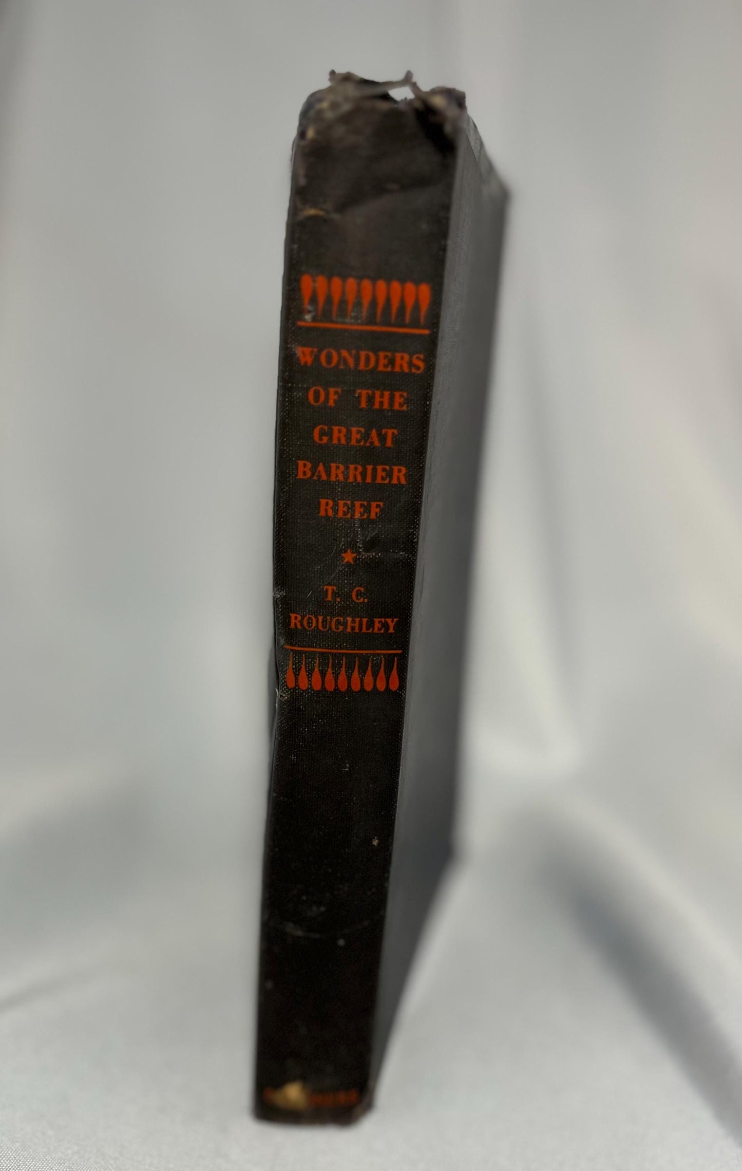 Vintage Wonders of the Great Barrier Reef Book, TC Roughley 1947 First Edition, Hardcover Marine Biology Australia