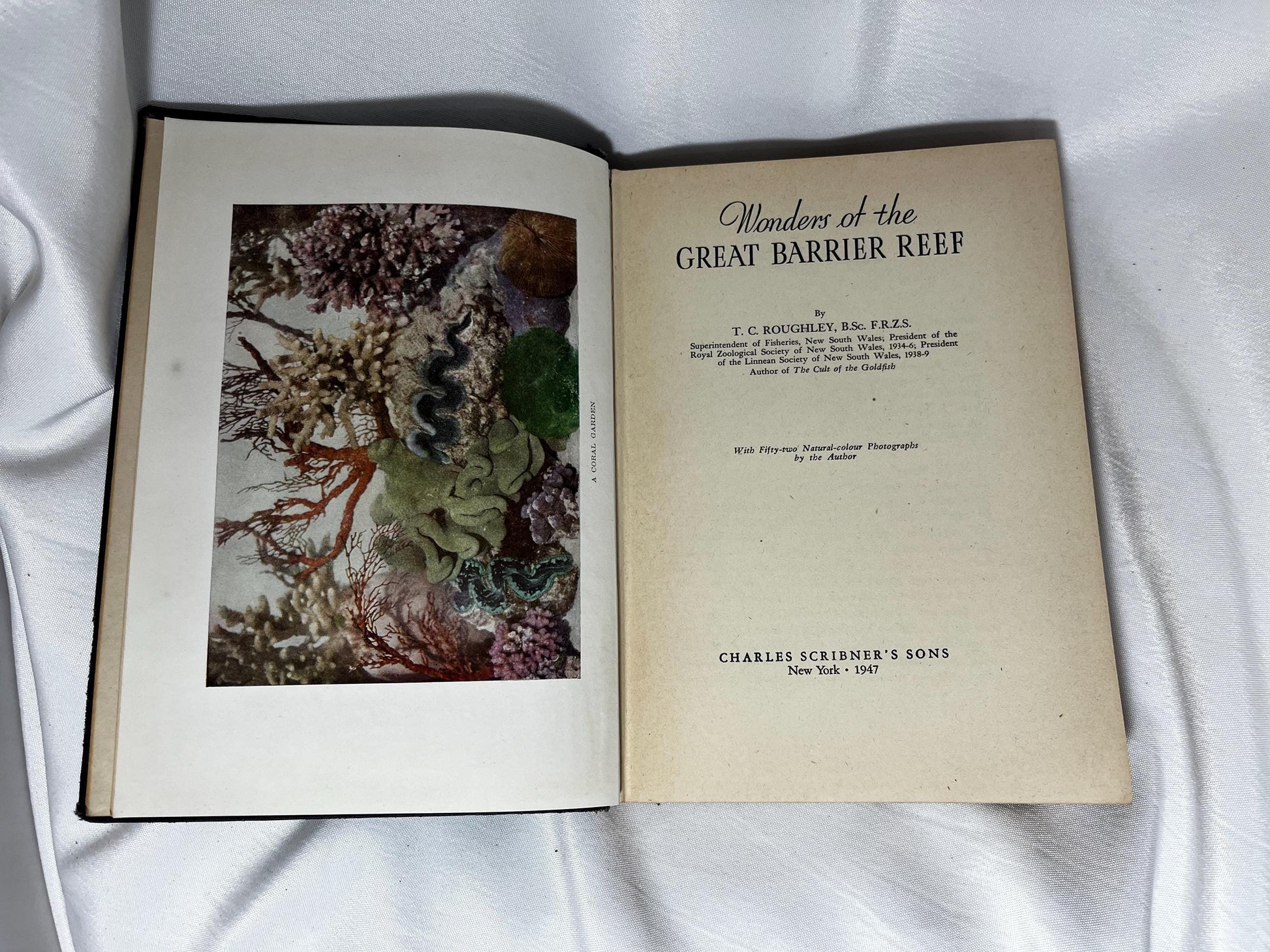 Vintage Wonders of the Great Barrier Reef Book, TC Roughley 1947 First Edition, Hardcover Marine Biology Australia