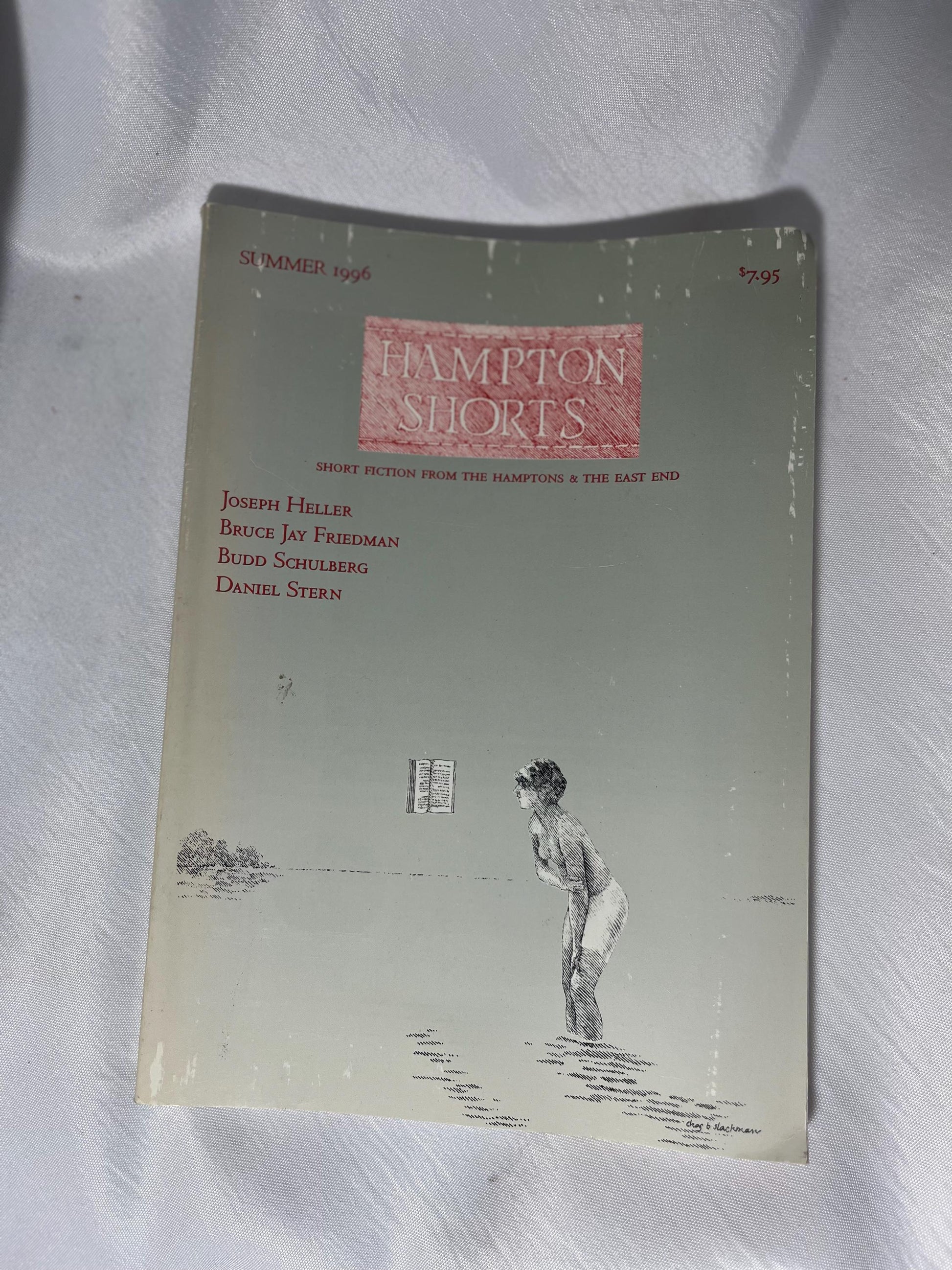 Hampton Shorts: Short Fiction Collection by Heller, Friedman, Schulberg - 1996 Paperback, Hamptons Stories, Long Island Tales